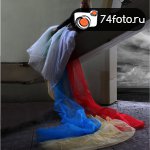 Фотовыставка \"Мир вокруг нас\"